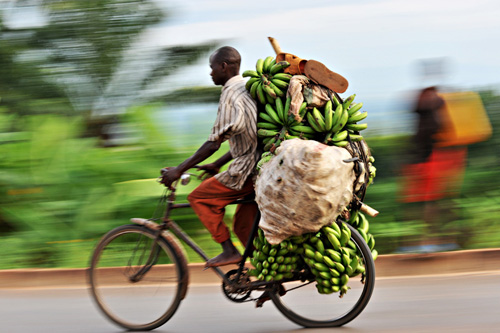 Un ciclista in Burundi affronta una discesa carico di banane