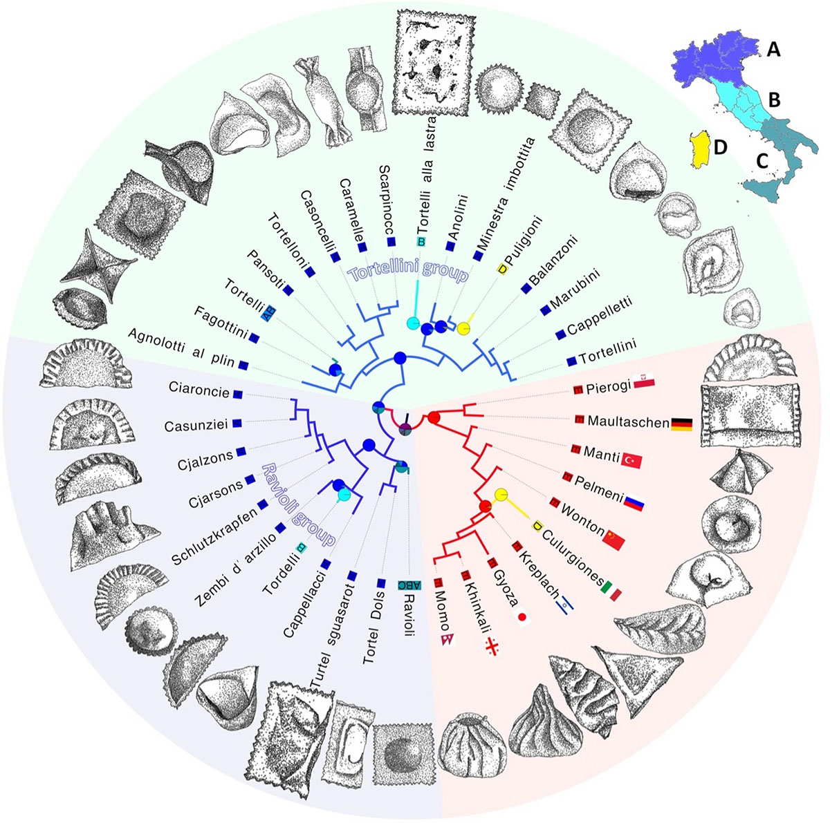 Evolution of the Italian pasta ripiena: the first steps toward a scientific classification