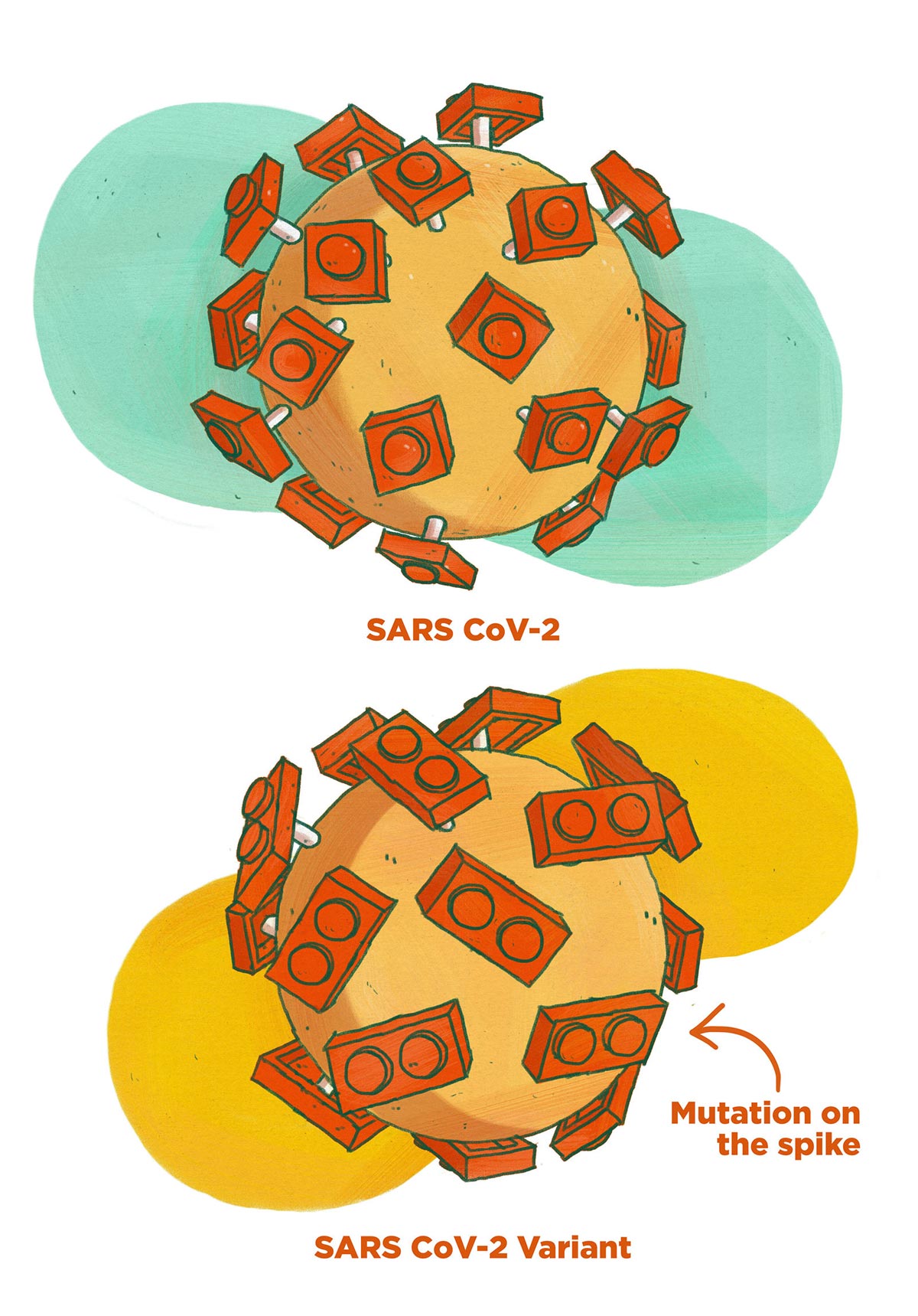 Le varianti di SARS-CoV-2 disegnate da Meredith Miotke