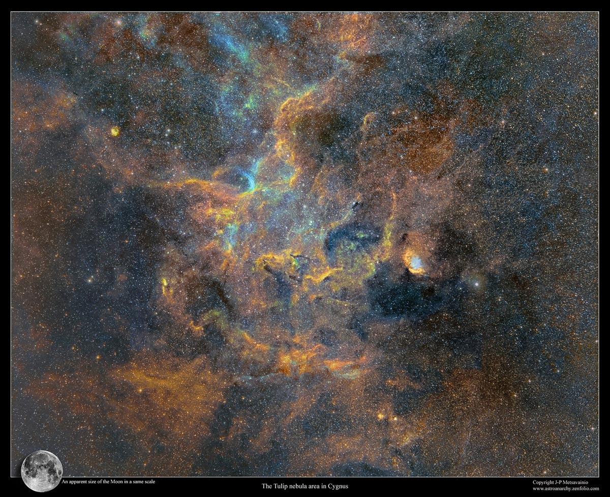 Un dettaglio della nebulosa Tulipano fotografata da J-P Metsavainio